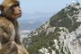 Gibraltar a Ponta da Europa e os túneis do Grande Cerco