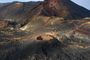 La Palma de Fogo e Lava