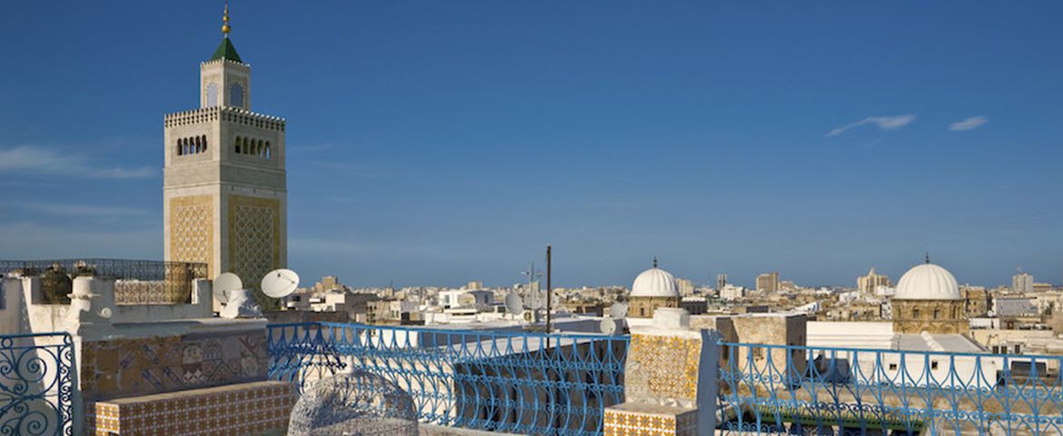 Panorâmica de Cartago, os Souqs, a Medina e Sidi Bou Said