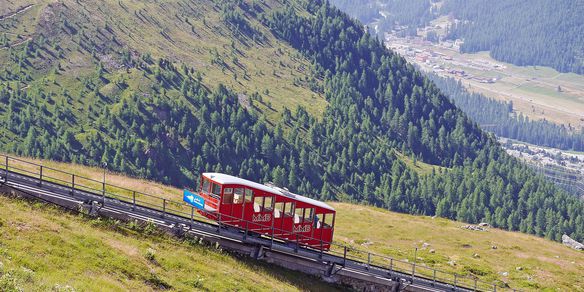 Bergen: Mercado e Visita à Cidade